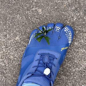 爱实践的老马头像