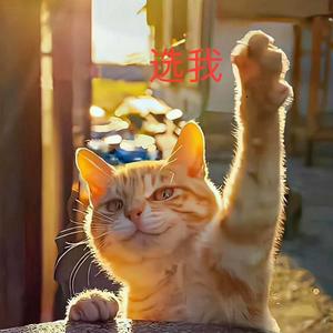 KID头像