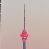 一丝不苟演清头像