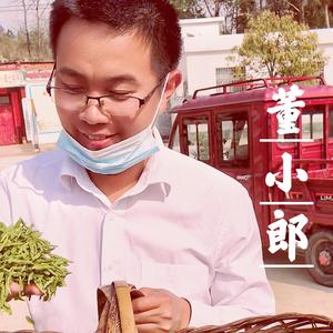 董小郎信阳土特产头像