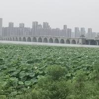 雨山江洪头像