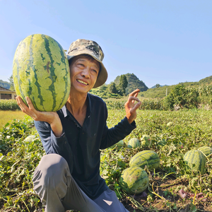 贪玩抖音的西瓜哥头像