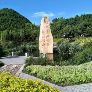 老周头像