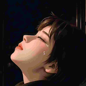 云南668乘风破浪头像