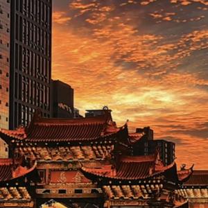 用户天又晴了头像