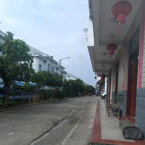 爱音乐的朋友谢谢关注头像
