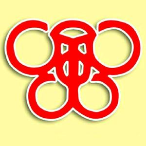 风筝数学（大有®老师）头像