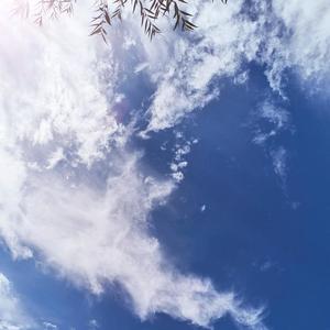木木火剧头像