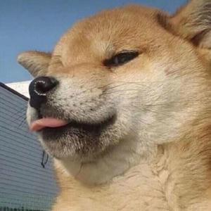 丁丁带你看世界 头像