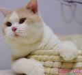 波波仔娜娜妹头像
