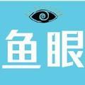 鱼眼看天下头像