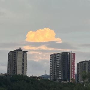21号儿童康复治疗师头像