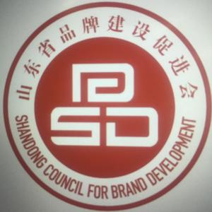 sdcbd2020头像