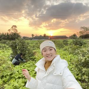 阿斗的豚豚头像