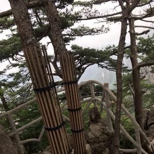 石拉43头像