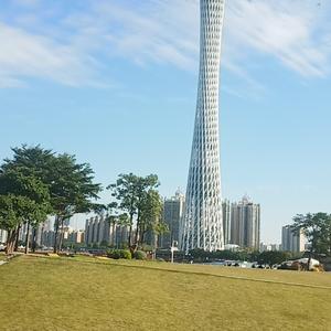流浪州哥头像