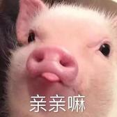 英明果断小北鼻头像