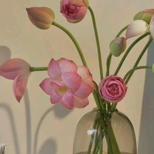 一朵小红花头像