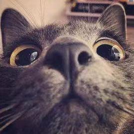 海胜爱数码 头像