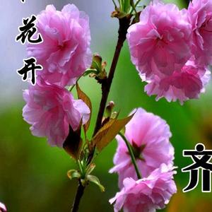 —切随缘头像