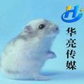 华亮头像