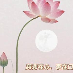 慈悲头像