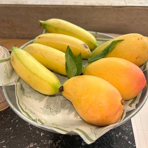 小可爱头像