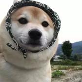我觉得很OK666头像
