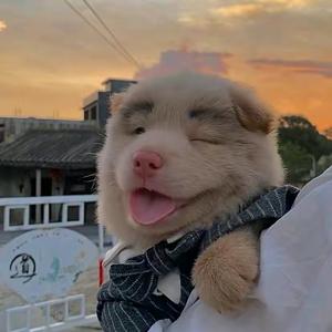 凡人头像
