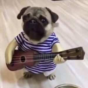 昵称是什么啊呢头像