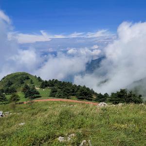 天门小鱼头像