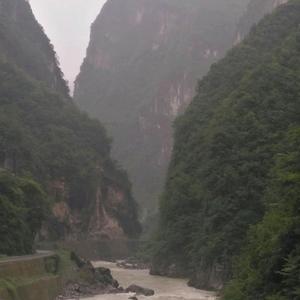 竹韵清风17头像