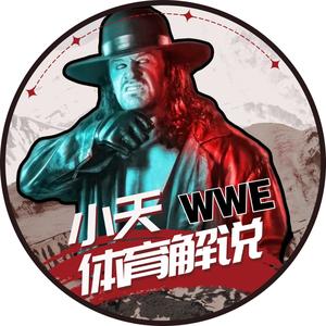 WWE小天体育解说头像