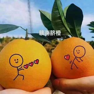 橙与你共享，情为你独宠头像