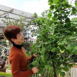 庐山畅谈头像