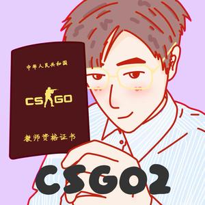 CS2李老师（持证上岗）头像