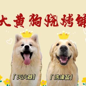 大黄狗烧烤铺头像