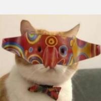 收手拉啊祖头像