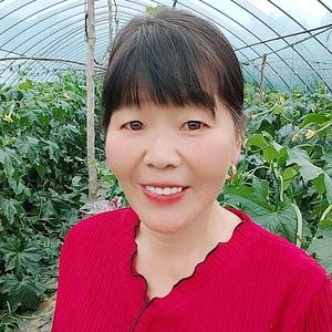 种菜嫂子头像