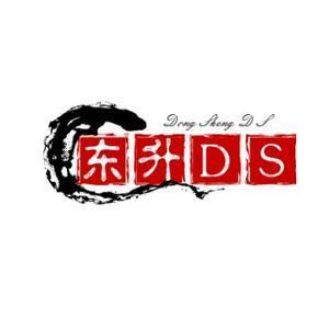 东升混剪DS头像