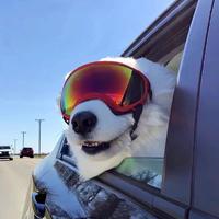 爱笑考特尼1T7b头像