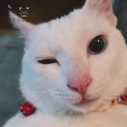 番茄2823988203229671头像