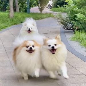 北城同学头像