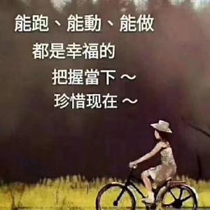 专收报废车的雨儿