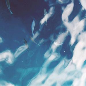 海岛盐汽水头像
