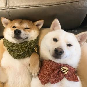 萌萌观视界头像