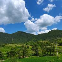 错过了等于过错头像