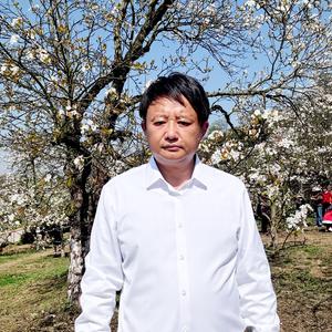 老杨共享农家小院头像