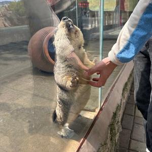 嘉铭冷库安装、维修头像