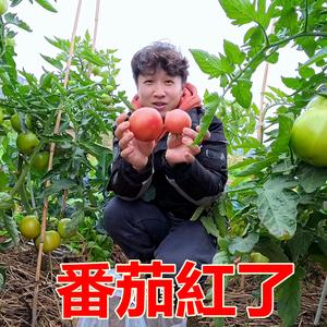 我小杰头像